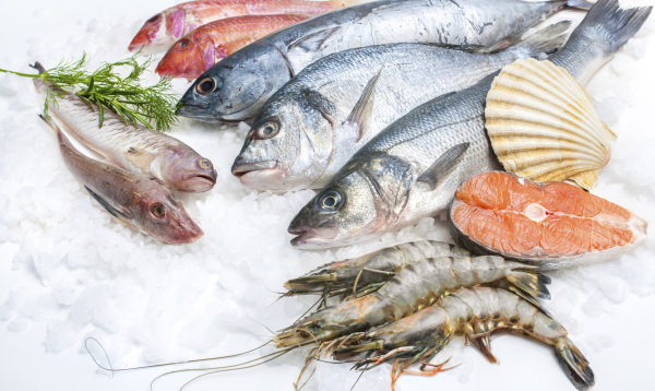 ristorante pesce il bersagliere